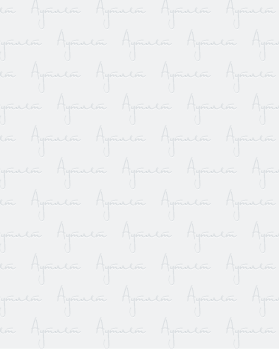 Купить DK COMPANY Summer (СЫРЬЕ) 022024#15 кг оптом в Краснодаре и Краснодарском крае