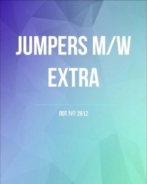 Купить Джемпер муж+жен экстра#15 кг , Лот№2612 оптом в Краснодаре и Краснодарском крае