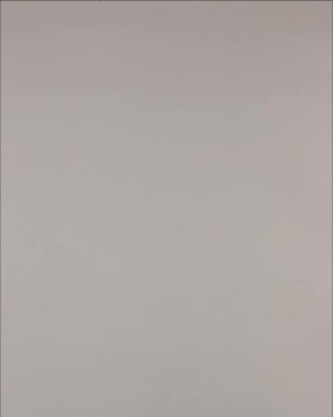 Фотография  169 - Нижнее белье Bon Prix дети#50 шт, ЛОТ №3242 оптом в Краснодаре и Краснодарском крае