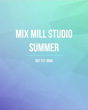 Купить MILL STUDIO Summer mix#15 кг, ЛОТ №3800 оптом в Краснодаре и Краснодарском крае