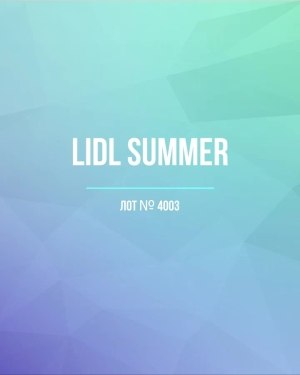 Купить LIDL Summer#20 кг, ЛОТ №4003 оптом в Краснодаре и Краснодарском крае