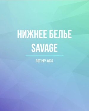 Купить Нижнее белье Savage, 50 шт, ЛОТ №4037 оптом в Краснодаре и Краснодарском крае