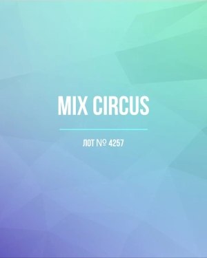 Купить CIRCUS mix #13 кг, ЛОТ №4257 оптом в Краснодаре и Краснодарском крае