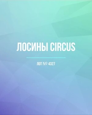 Купить Лосины CIRCUS #6,2 кг, ЛОТ №4327 оптом в Краснодаре и Краснодарском крае