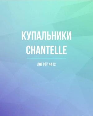 Купить Купальники Chantelle#23 шт, ЛОТ №4412 оптом в Краснодаре и Краснодарском крае