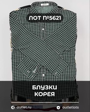Купить Блузки Корея#20 шт, ЛОТ №5621 оптом в Краснодаре и Краснодарском крае
