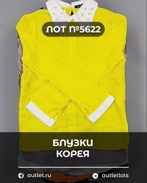 Купить Блузки Корея#20 шт, ЛОТ №5622 оптом в Краснодаре и Краснодарском крае