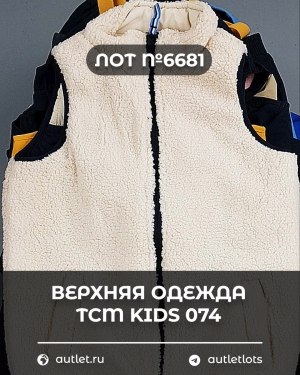 Купить Верхняя одежда TCM kids 074#7 кг, ЛОТ №6681 оптом в Краснодаре и Краснодарском крае