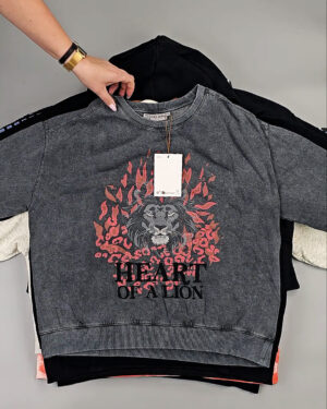 Фотография  321 - Толстовки Bestseller+DK 035#7 кг, ЛОТ СТ-9839 оптом в Краснодаре и Краснодарском крае